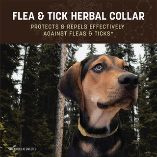 Earth Animal Flea & Tick Collars