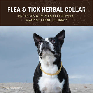 Earth Animal Flea & Tick Collars