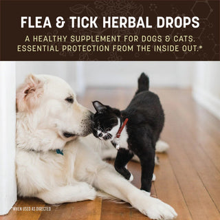 Earth Animal Flea & Tick Remedy 2oz