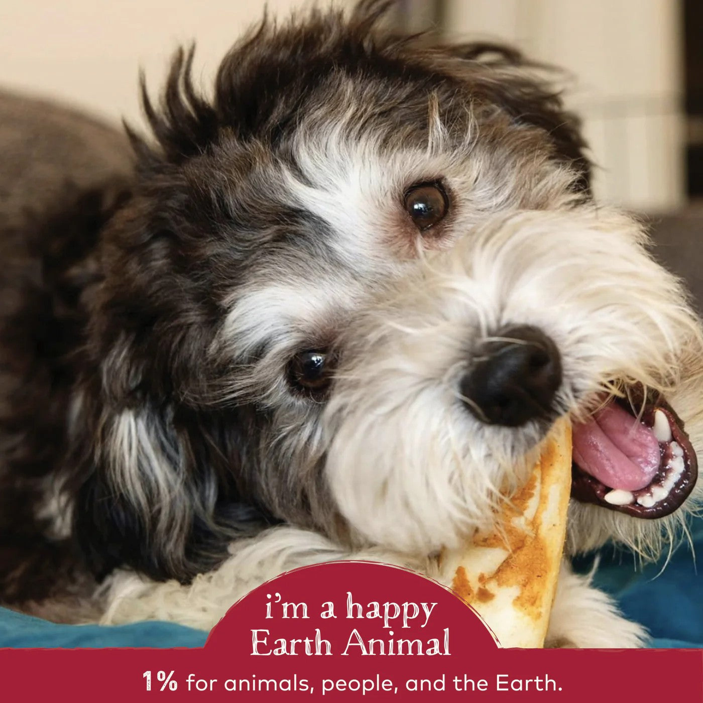 Earth Animal No-Hide Beef Chews