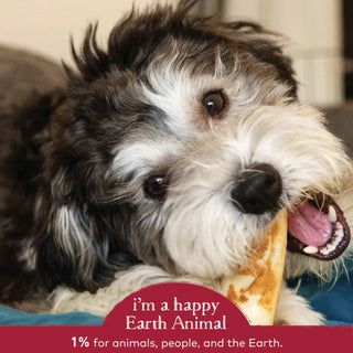 Earth Animal No-Hide Beef Chews
