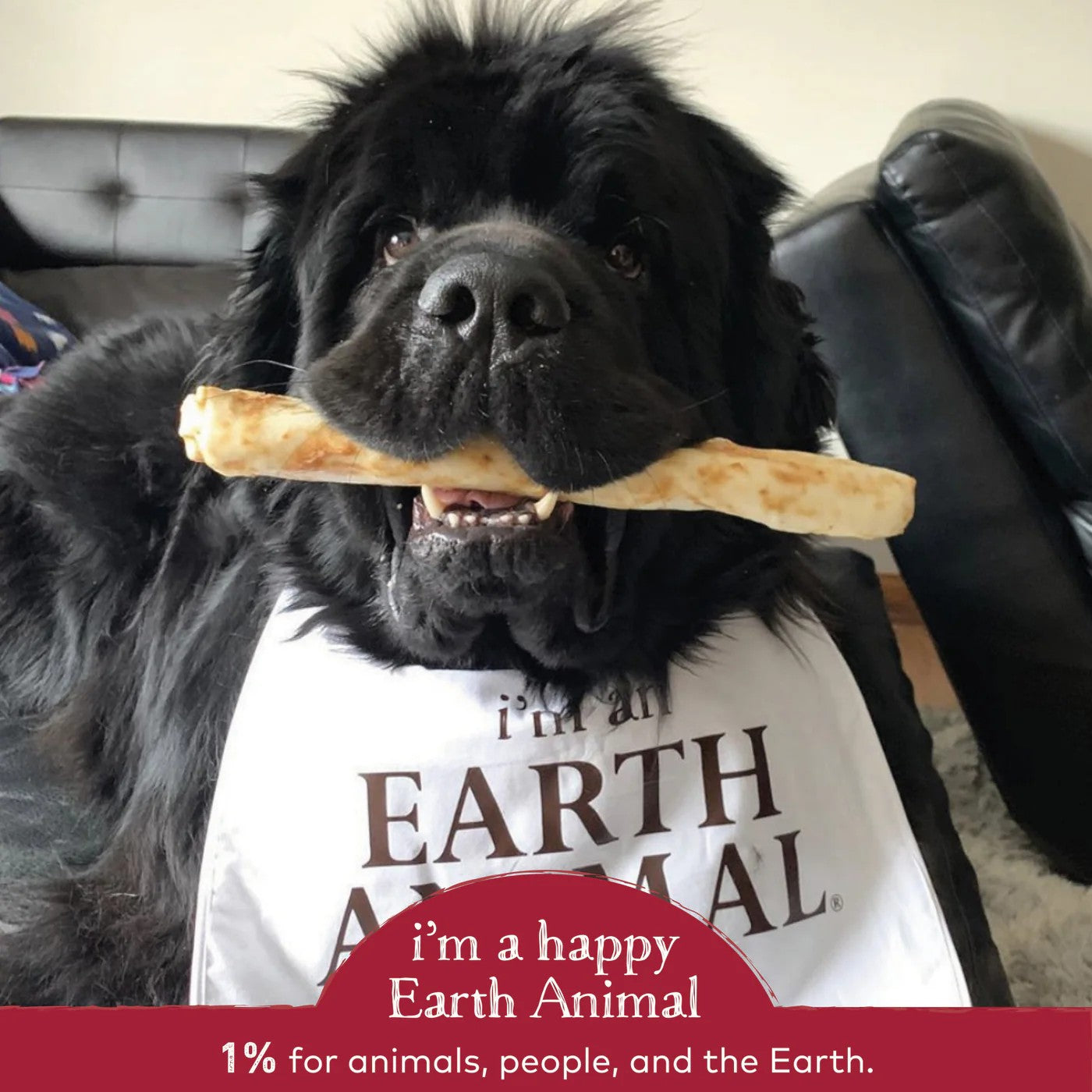 Earth Animal No-Hide Beef Chews