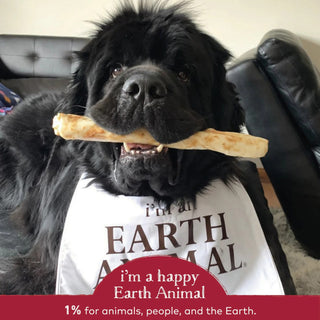 Earth Animal No-Hide Beef Chews