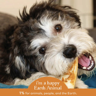 Earth Animal No Hide Chicken Chews