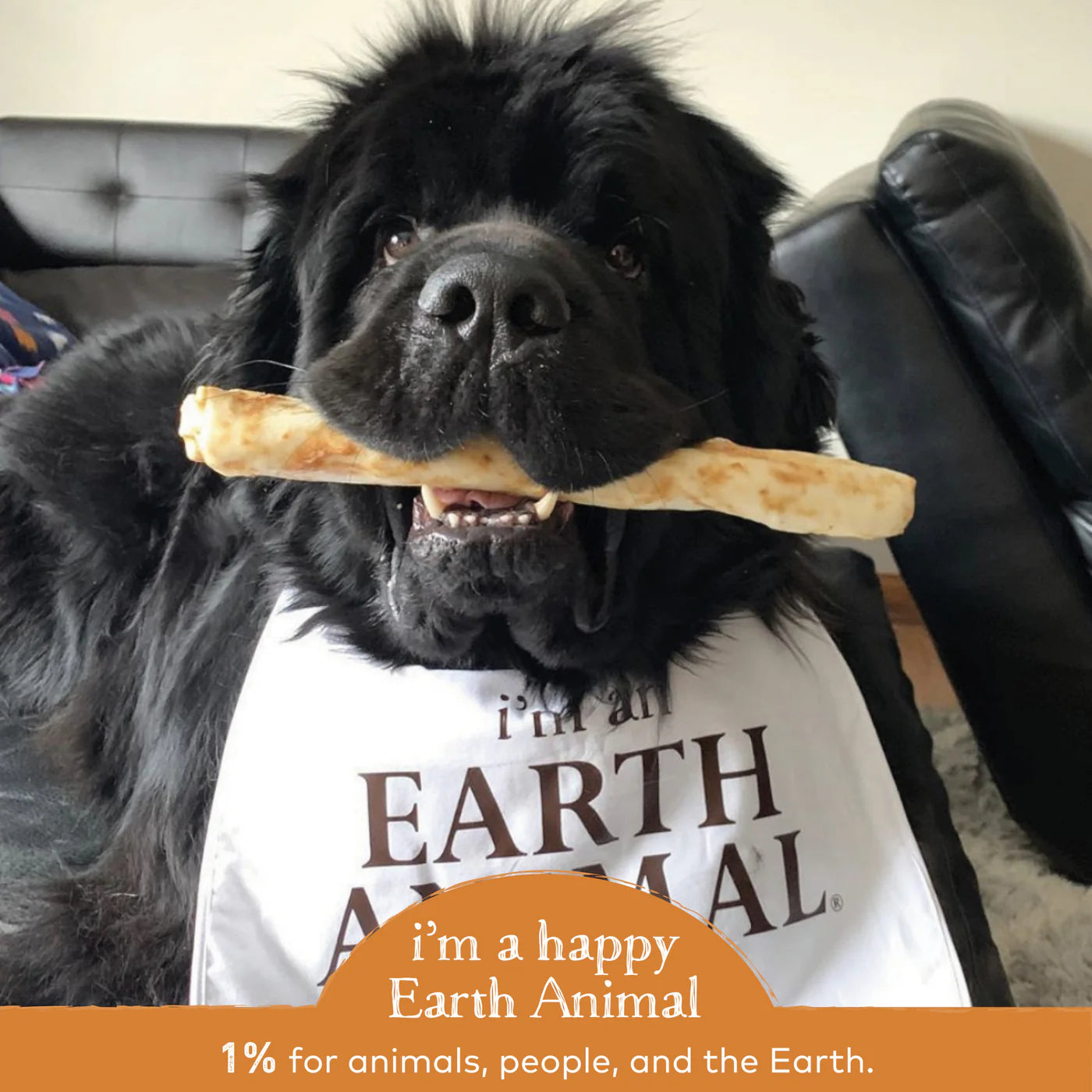 Earth Animal No Hide Chicken Chews