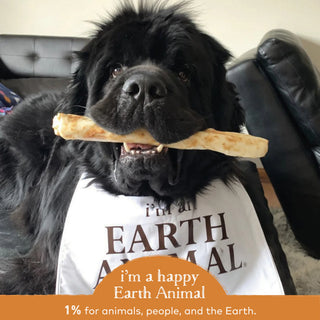 Earth Animal No Hide Chicken Chews