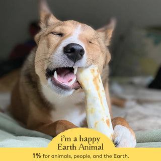 Earth Animal No Hide Peanut Butter Chews