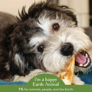 Earth Animal No Hide Pork Chews