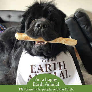 Earth Animal No Hide Pork Chews