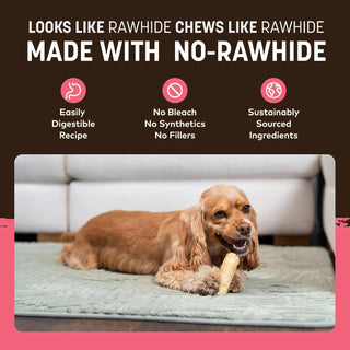 Earth Animal No Hide Salmon Chews