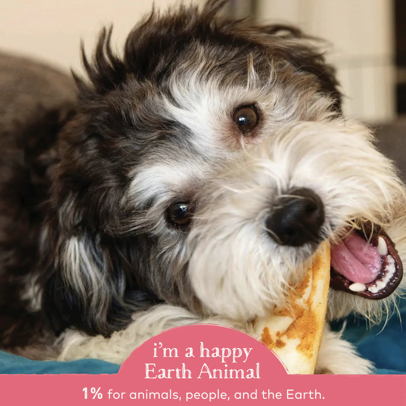 Earth Animal No Hide Salmon Chews