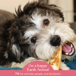 Earth Animal No Hide Salmon Chews