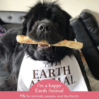 Earth Animal No Hide Salmon Chews