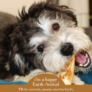 Earth Animal No Hide Venison Chews