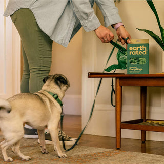Earth Rated Unscented Poop Bags with handles