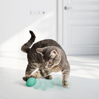 Kong Cat Catnip Infused Easter Egg