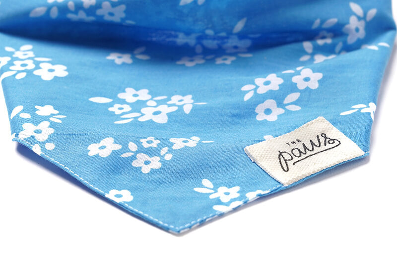 The Paws Bandana - Dixie