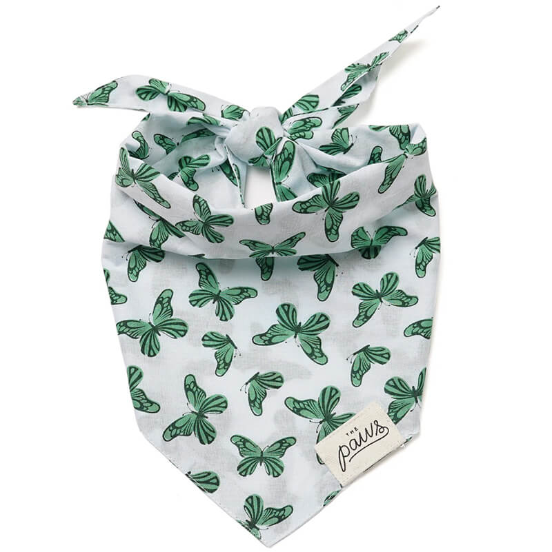 The Paws Bandana - Florence