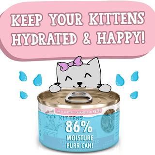 Weruva CITK Kitten Gone Wild