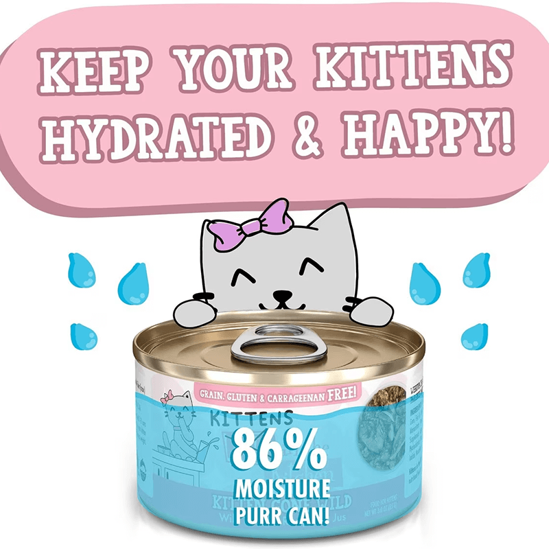 Weruva CITK Kitten Gone Wild