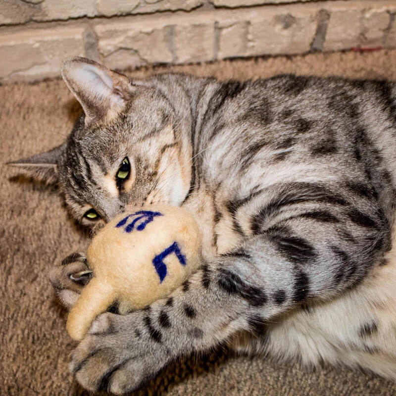Midlee Hanukkah Felt Wool Cat Toy Set