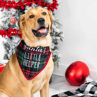 Pearhead Santa's Little Helper Bandana