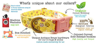 Very Vintage Black Cat Cat Collar