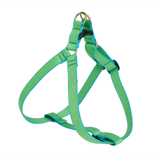 Up Country Color Market Harness
