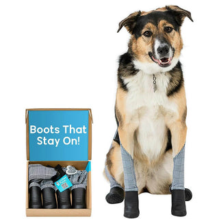 Walkee Paws Deluxe Easy-On Boot Leggings