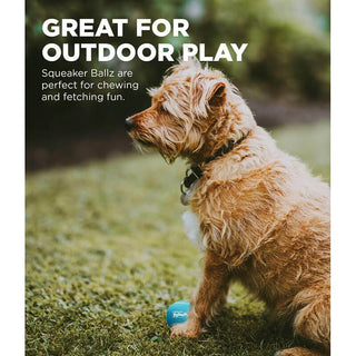 Outward Hound Squeaker Ballz