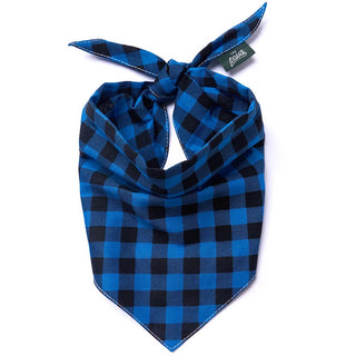 The Paws Bandana - Scotch