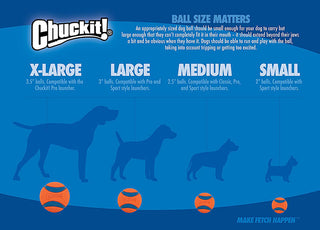 Chuckit! Kick Fetch