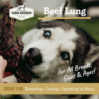 Farm Hounds 100% Dehydrated Beef Lung