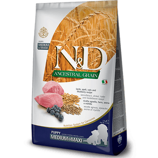 Farmina N&D Ancestral Grain Lamb & Blueberry PUPPY
