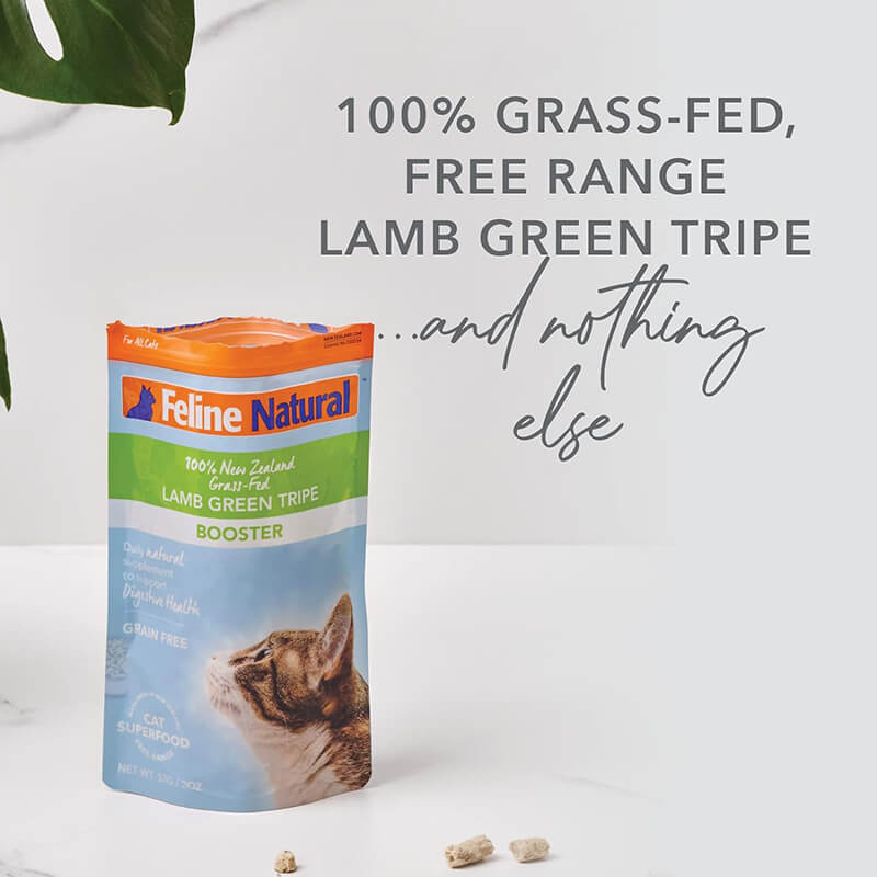Feline Natural Freeze Dried Lamb Green Tripe Booster