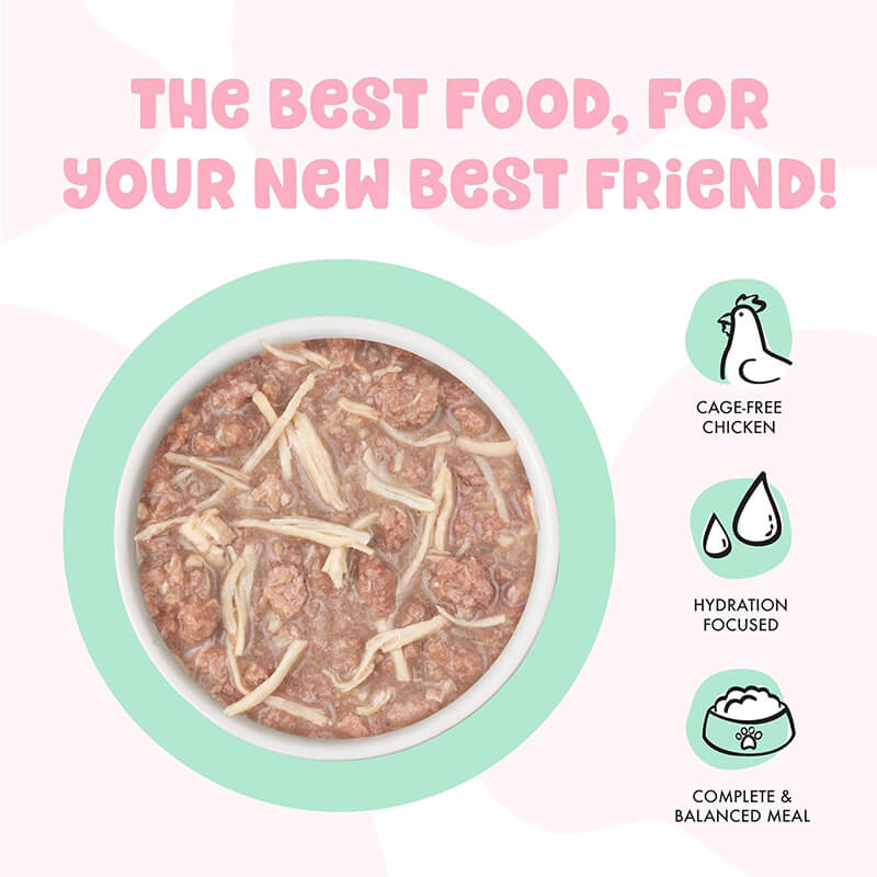 Weruva BFF Kitten Chicken Cha Cha