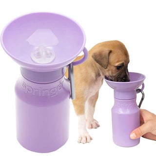 Springer Mini Dog Water Travel Bottle