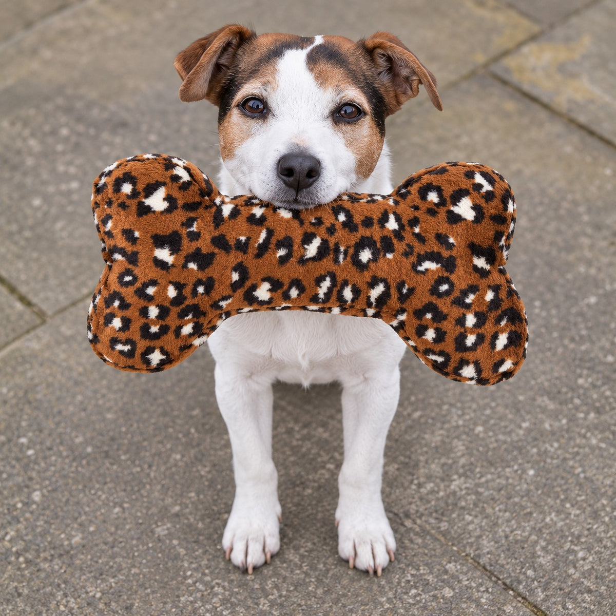 Fluff & Tuff Chestnut Leopard Bone