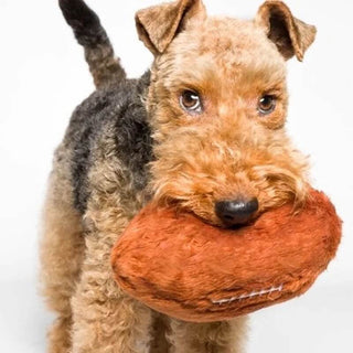 Fluff & Tuff Football