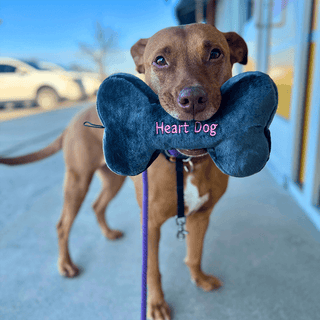 Fluff & Tuff Heart Dog Bone