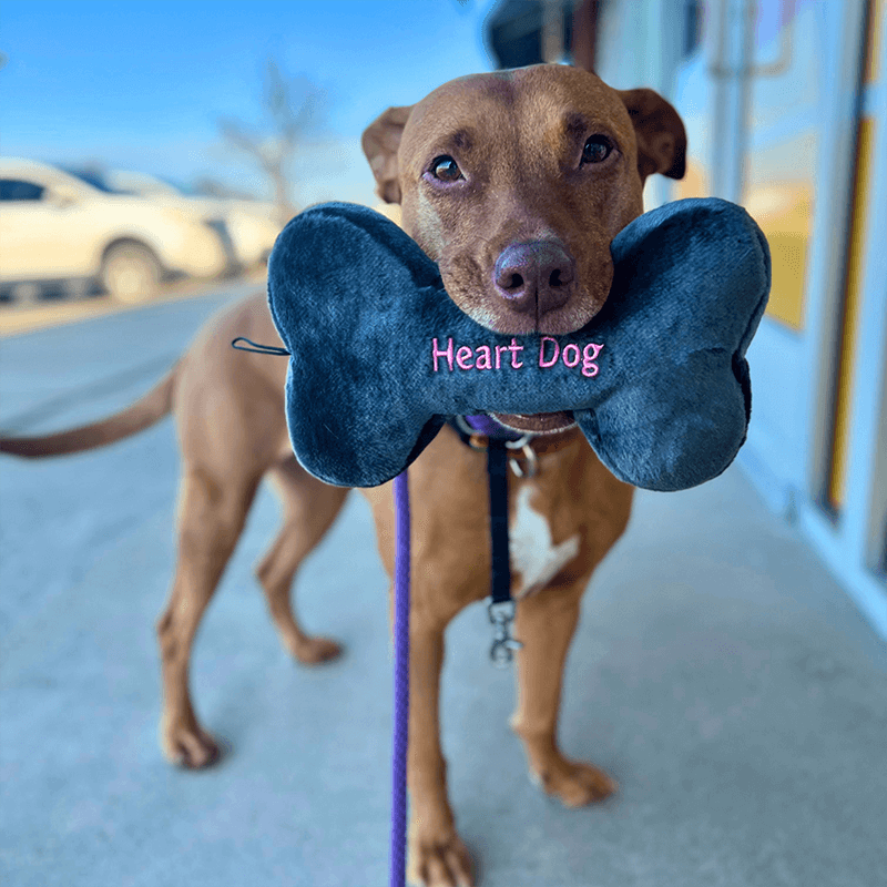 Fluff & Tuff Heart Dog Bone