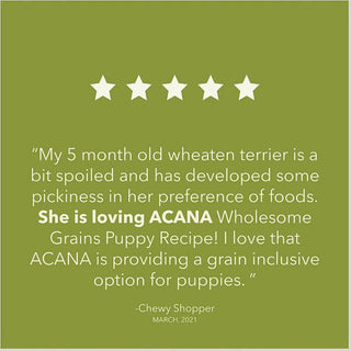 Acana Wholesome Grains Puppy