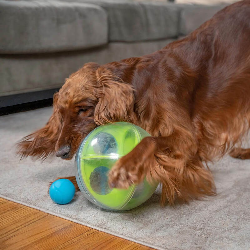 Outward Hound Nina Ottoson A-Maze Ball