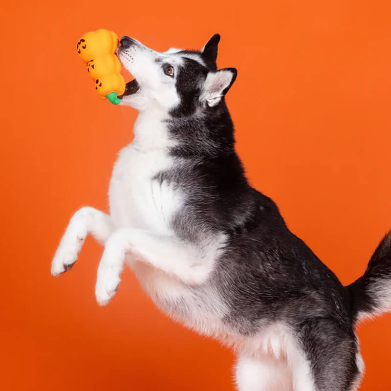 Fringe Studio Go Big or Gourd Home Squeaker Toy
