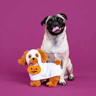 Fringe Studio Hauntin' Hound Plush