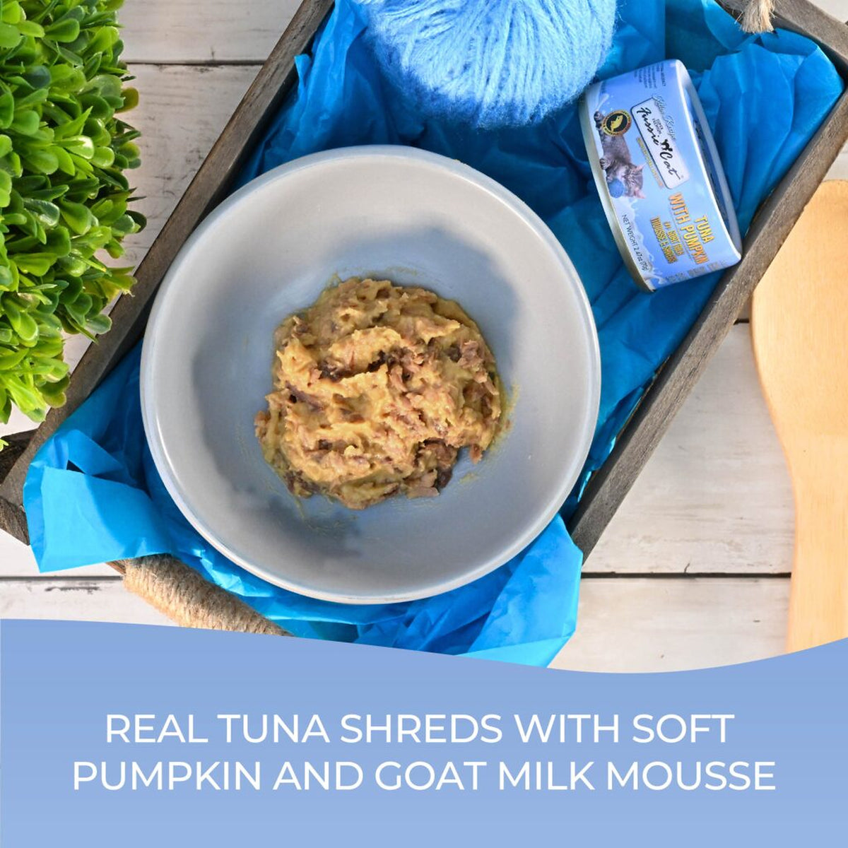 Fussie Cat Kitten Tuna with Pumpkin in Goat Milk Mousse & Shreds