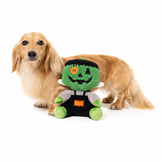 FuzzYard Jack-O-Chan Mummy