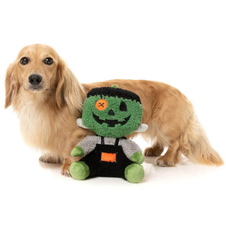 FuzzYard Jack-O-Chan
