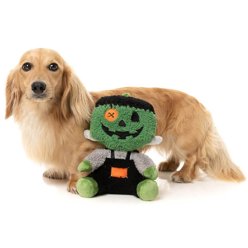 FuzzYard Jack-O-Chan
