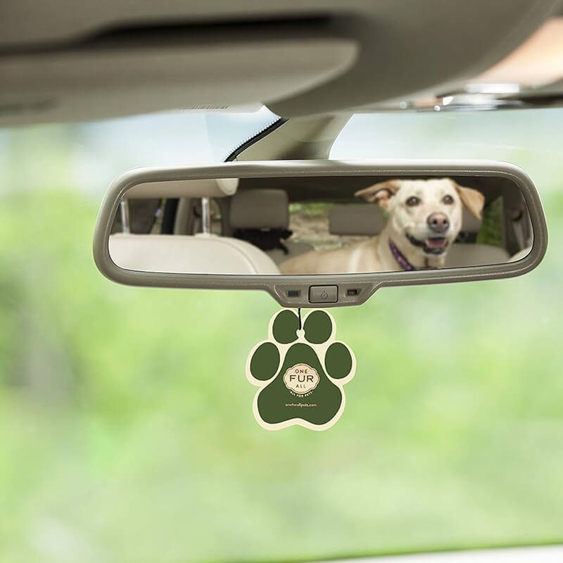 One Fur All Pet House Car Freshener - Pumpkin Spice Pumpkin Spice